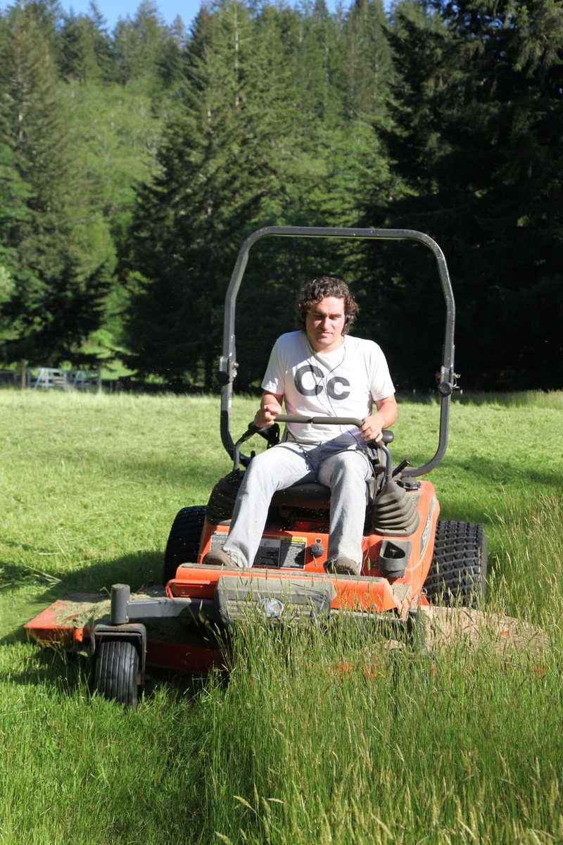 Landscaping